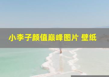 小李子颜值巅峰图片 壁纸